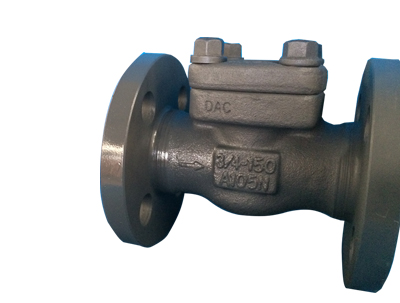Integral Flanged Swing Check Valve